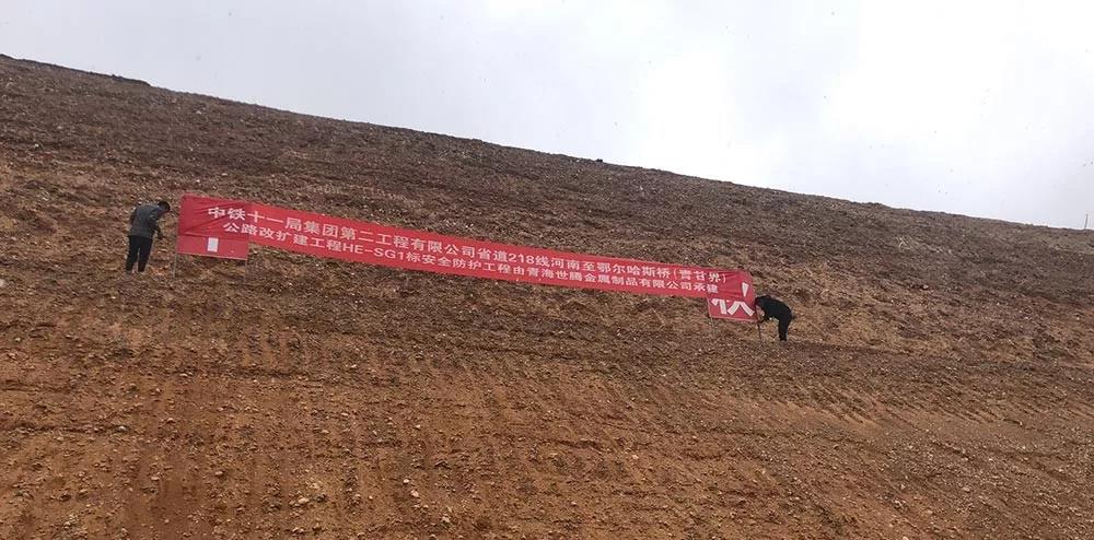 NLC电子(中国)集团