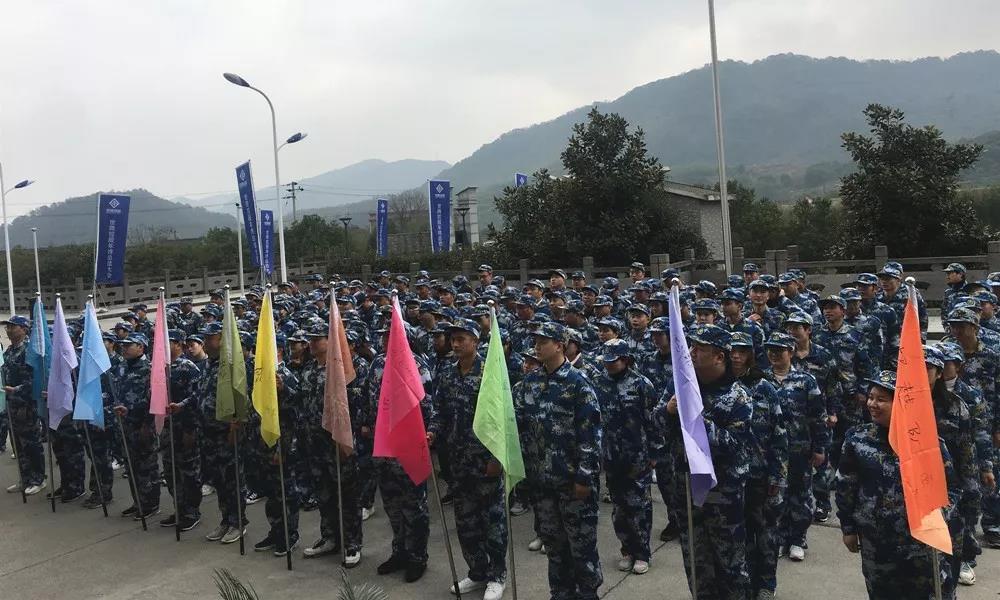 NLC电子(中国)集团