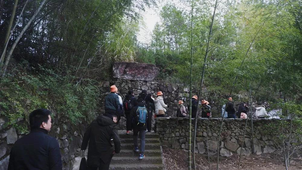 NLC电子(中国)集团