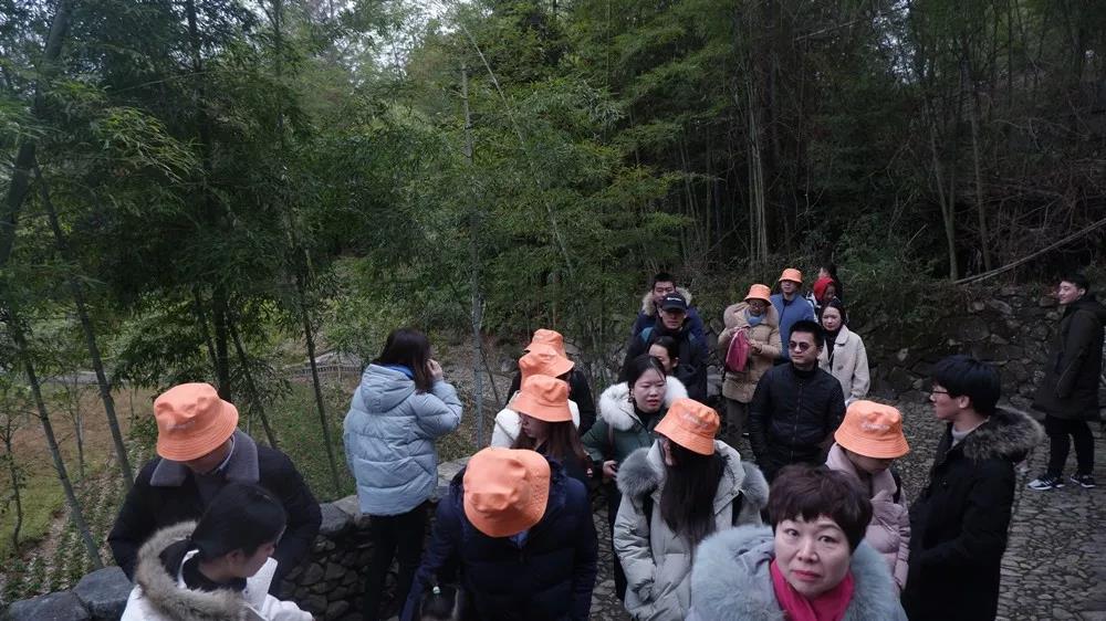 NLC电子(中国)集团