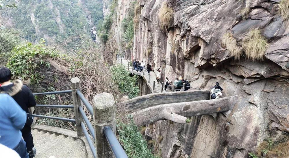 NLC电子(中国)集团