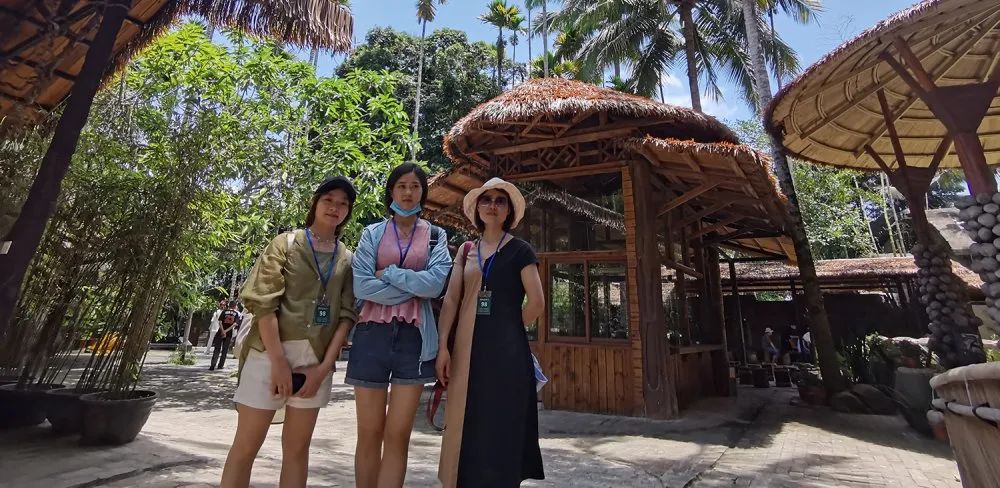 NLC电子控股集团