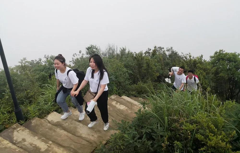 NLC电子(中国)集团