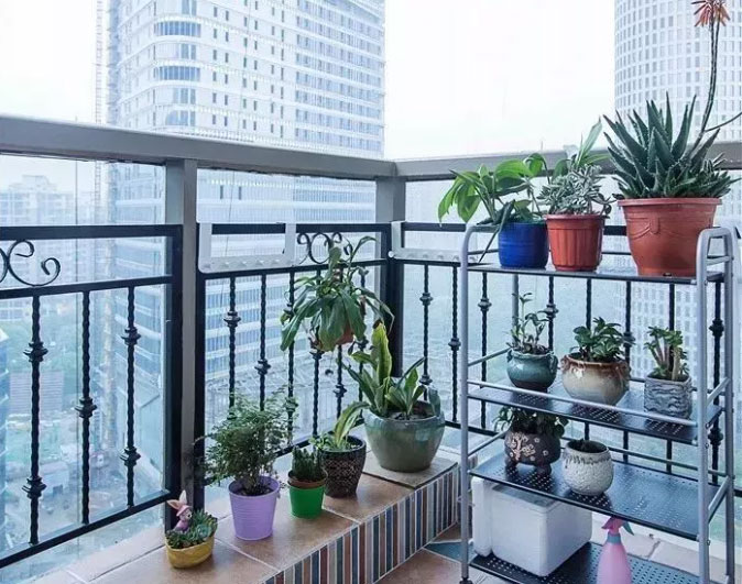 NLC电子(中国)集团