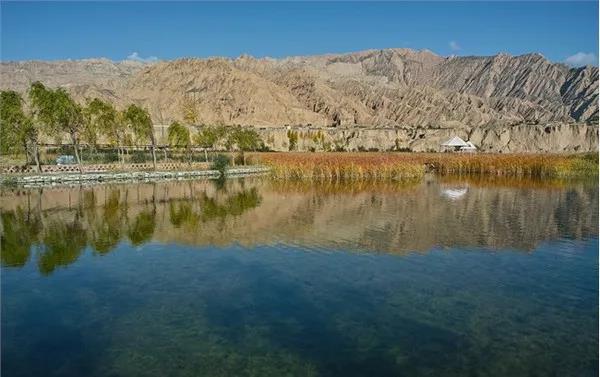 NLC电子控股集团