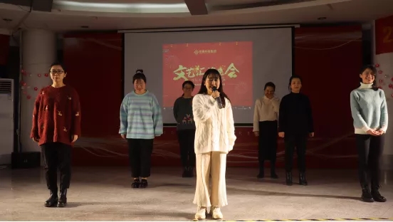 NLC电子(中国)集团